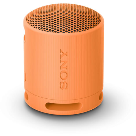 Sony SRS-XB100 Speaker Wireless Bluetooth Portatile da Viaggio Arancio