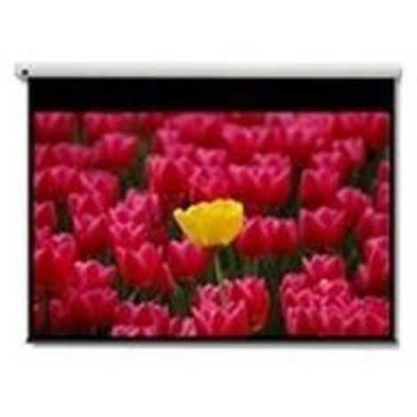 Optoma Pantalla 16:9 2656 x 1494mm schermo per proiettore 3,05 m (120pollici) (1/2)