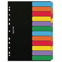 Rexel D26612 intercalare Cartella a soffietto espandibile Nero, Multicolore