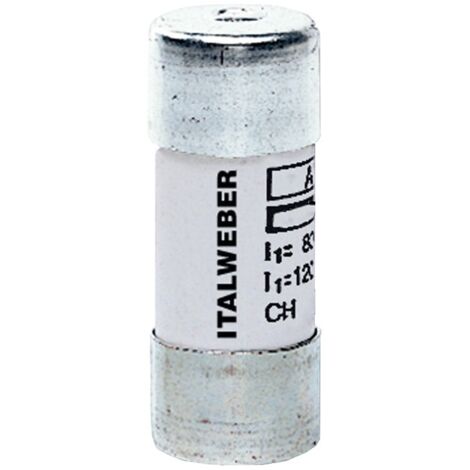 Italweber fusibile ch22 gg 100a 500v 1441099