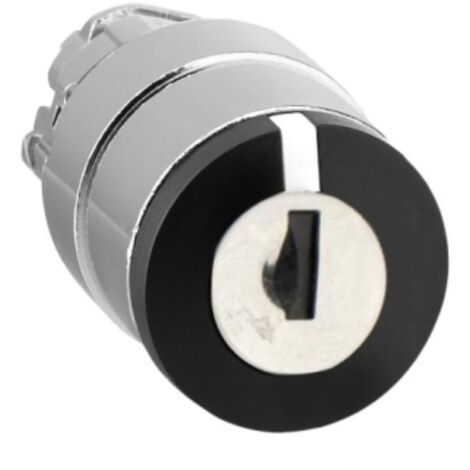 Interruttore Joystick A 2 Posizioni Con Ritorno A Molla - Contatti NA, Impermeabile, Sostituto Per XD2PA22CR