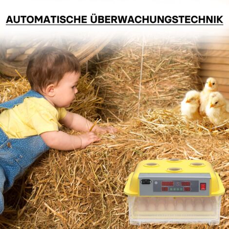 Incubadora automática capacidad para 48 huevos de gallina y 4 ventanas observación, pato, codorniz