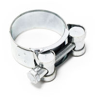 Abrazadera de manguera T Perno W1 cincada de ancho 20mm ajustable de 36-39mm