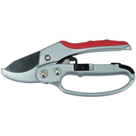 Forbici Da Giardinaggio Con Presa Comfort Forbici Per Potatura E Raccolto PRO 420 - Confezione Da 2 Pezzi, Presa Comfort, Taglio Preciso, Ideali Per Giardinaggio Forbici Per Potatura Professionali - Foto 2