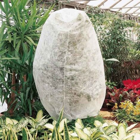 Telo Cappuccio Termoclima TNT antigelo per piante e albero tessuto bianco varie misure-METRI 0.8 X 1 - 5 PEZZI