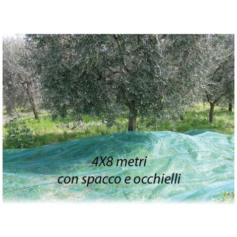 Rete per Olive Antispine mt. 4X8