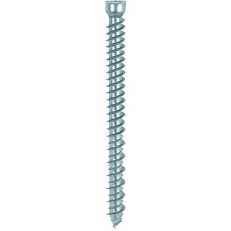 Viti Per Calcestruzzo T. Cil Zinc 7,5X122 Mm - 100 Pz (1/2)