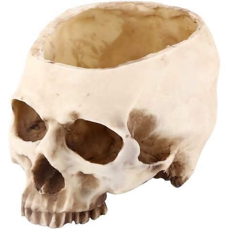 MINKUROW Resina Halloween Calavera Cabeza Flores Maceta Maceta Escenas Decoración Candy Bowl (1/5)