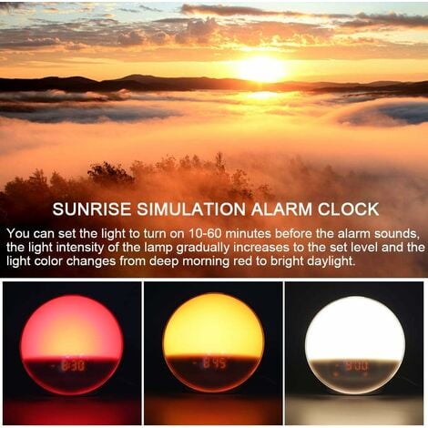 Despertador con simulación de Amanecer/atardecer, alarma Dual, Radio FM, luz  nocturna, 7 colores, sonidos naturales, repetición