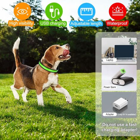 Collar de perro con luz recargable USB, collar de perro LED ajustable con 3  modos de