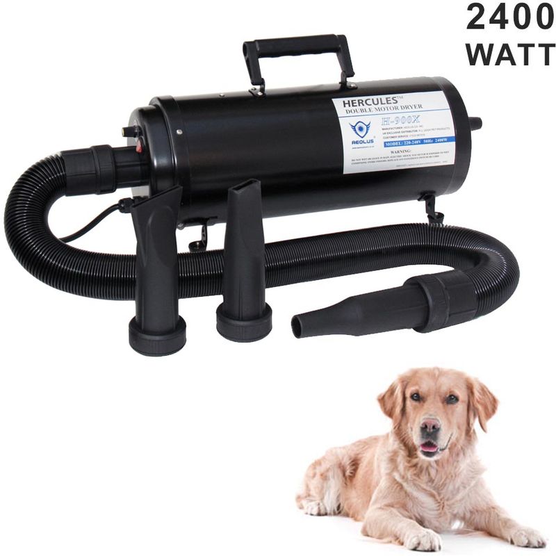 Turbo pet hair dryer 2 motori phon per cani pulsore 2400 watt