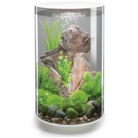 Oase acquario luminoso biorb tube 30 litri colore bianco con luci a led  bianchi