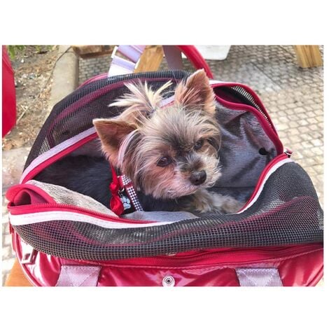 Zu e lu borsa per cani 2 in 1 ligi small max 5 kg 43x18xh25 cm