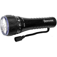 Torcia Elettrica 100Lm 6000ºK LED Nero 40.000H [HO-LL-100L-B]