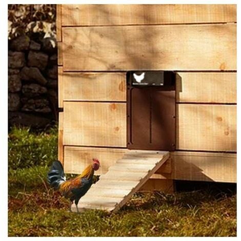 puerta de gallinero puerta para mascotas casa marrón solar automático puerta  de gallinero
