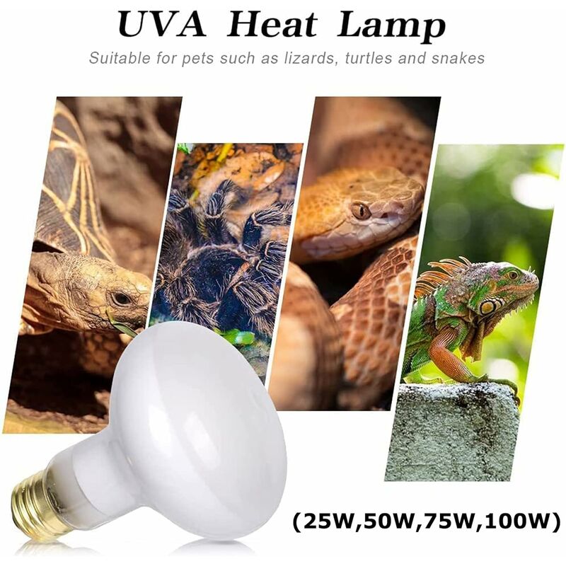 Pack Reptile UVA Heat Lamp, 100W Heat Bulb, Soft Warm White Glass