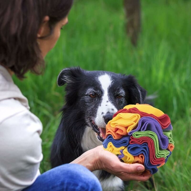 Snuffle Ball Dog Search Interactive Dog Toys Ball Snuffle Mat Rainbow Snuffle Ball Puzzle Toys Pet IQ Slow Feeding Dispensing Ball Training Games Ball