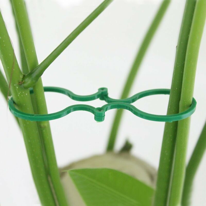 Plant Ties - With Velcro Closure - Resealable - Perforated to Tear Off -  Stable and Weatherproof - Plant Support - Fixing Band - Velcro Cable Ties