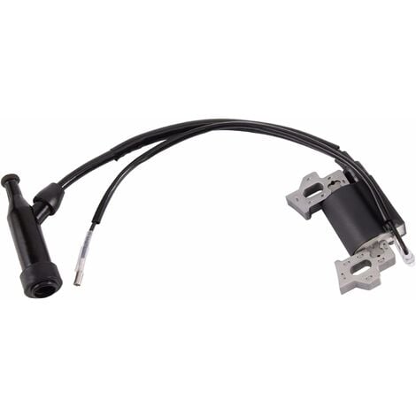 Honda gcv160 ignition online coil replacement