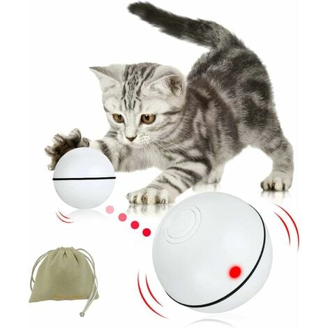 Interactive cat 2025 toys with timers