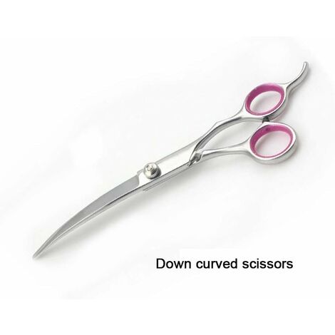 Stainless Steel Scissors