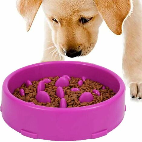 Anti Glutton Dog Bowl Slow Feeding Bowl With Non-slip Base Promotes Healthy  Eating And Slow Digestion (large Blue, Maze)