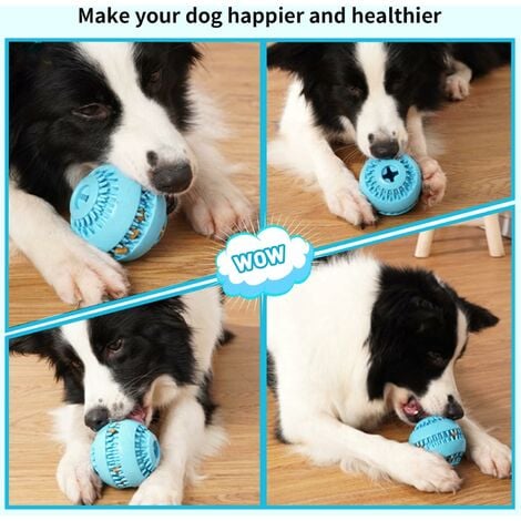 Dog ball with on sale teeth