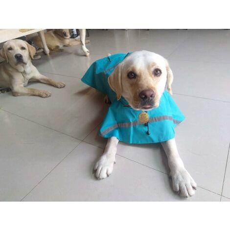 Dog raincoats for hot sale large dogs