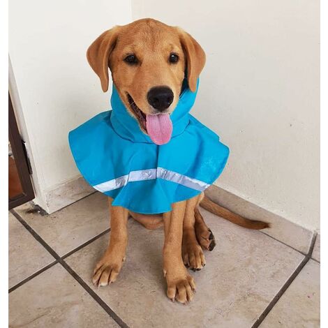 Dog raincoats with on sale hoods