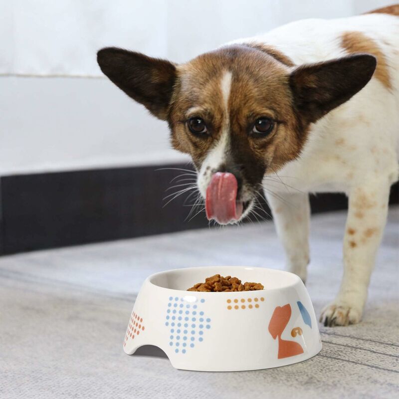 Ciotola per cani, ciotola in ceramica da 350 ml per cani e gatti, ciotola  per l'alimentazione antiscivolo