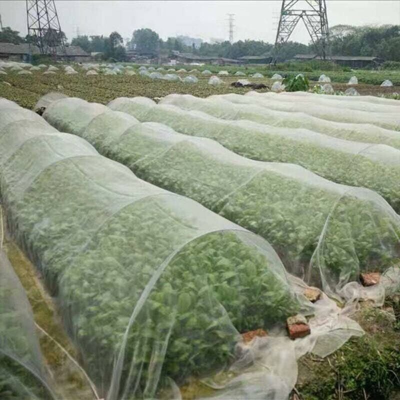 11 Rete di protezione dagli insetti a maglia fine per giardino, serra,  piante, frutta, fiori, colture Repellente per pesticidi, 10x2,5 m