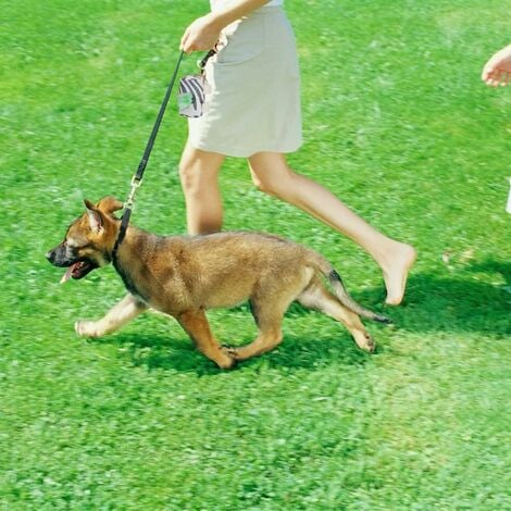 Sacchetti di cacca di cane, borsa di cacca di cane, distributore di  sacchetti di cacca di