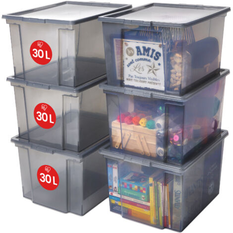 Iris Ohyama Vielseitige Aufbewahrungsboxen, 30L, 6er-Set, Grau, Leicht schließba Deckel, Stapelbar, Plastik, Für Schrank, Regale, Organisation, Kleidung, Bettlaken, Garage, USB-M