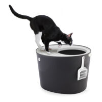 Iris Ohyama Katzenklo mit Schaufel, bis 7 kg, Grau, mit Deckel, Katzentoilette, leicht reinigen, Für große Katzen, Kätzchen, geschlossen, xxl Toilette, BPA-frei, Cat Litter Box, Toilet, PUNT-530