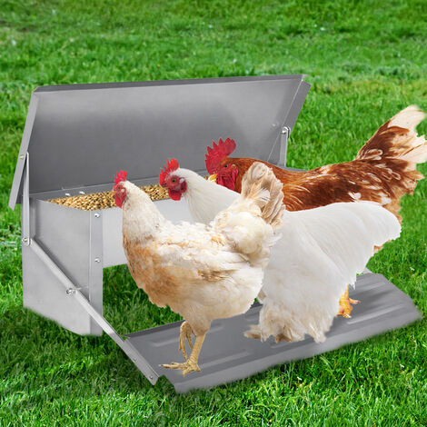 Safeed: Nouvelle mangeoire automatique pour poules anti-oiseaux et  anti-rats - COPELE