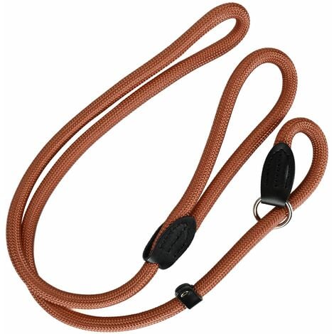 Long dog training clearance lead