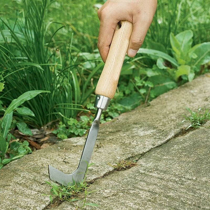 Truelles, Houes, Griffes, Couteaux Désherbant, Pelles et Autres Outils de  Jardinage