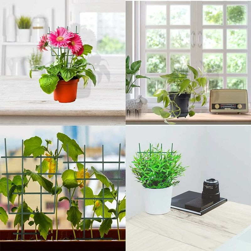 Support pour plantes grimpantes en treillis, cage de soutien pour fleurs et  tomates, cadre de Support pour plantes grimpantes, Pot de vigne
