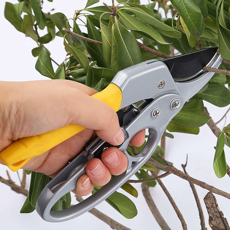 Lot 3 outils de jardinage coupants : secateur 8 + cisaille haies + coupe  branches