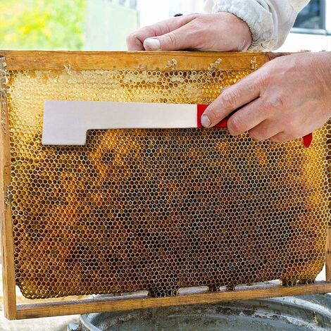 Outils de L'Apiculture Pince de Cadre Beehive Poignée de Cadre d'Abeille  Lifter Capture Gripper Apiculture pour Prendre le Miel Facilement et  d'Eviter les Piqûres d'Abeilles