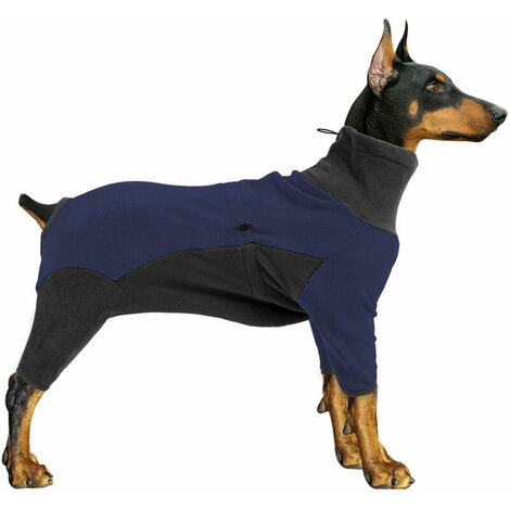 manteau pour dobermann