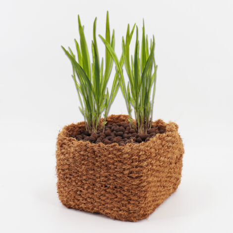 Cesto Per Piante Laghetto In Cocco - Naturale Senza Plastica, 25x25x20 Cm, Per Acque E Rive, Facile Da Posizionare - Foto 6