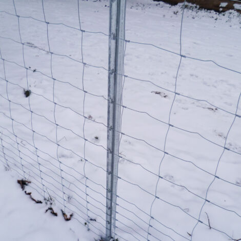 Kit Rete Protezione Animali Selvatici 50m – Altezza 100cm, Con 15 Pali A Z E Filo Tenditore 250m, Zincato, Made In Germany - 3
