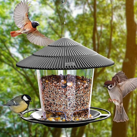 Mangeoire à oiseaux à suspendre en plastique bleu avec perchoir à 360  degrés – Idéal pour les amateurs d'oiseaux (lot de 3)