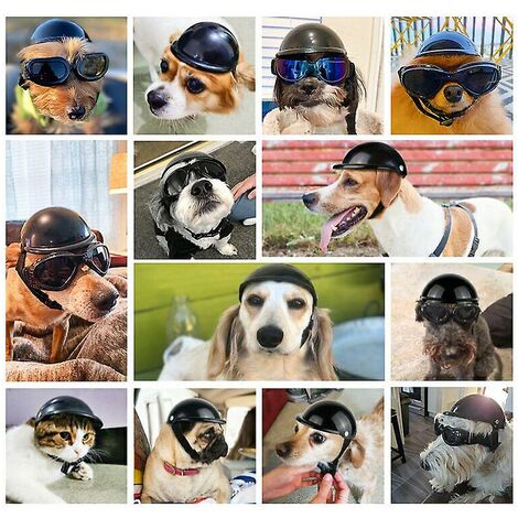 Pet Helmet, Dog Safety Cap, Bike Helmet Cap for Cats, Universal