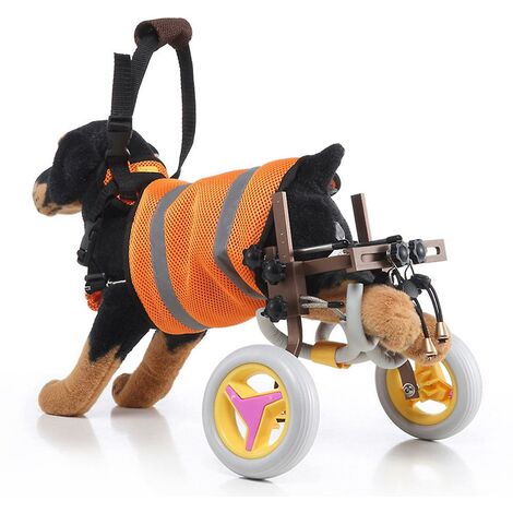 Pet wheelchair for disabled dog old dog cat walking assisted car ...