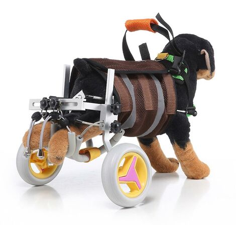 Pet wheelchair for disabled dog old dog cat walking assisted car ...