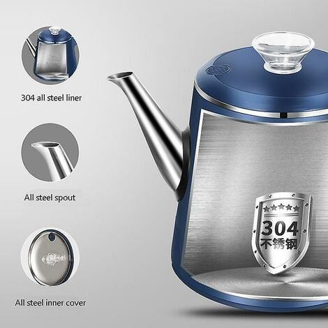 Dhara 2024 tea kettle