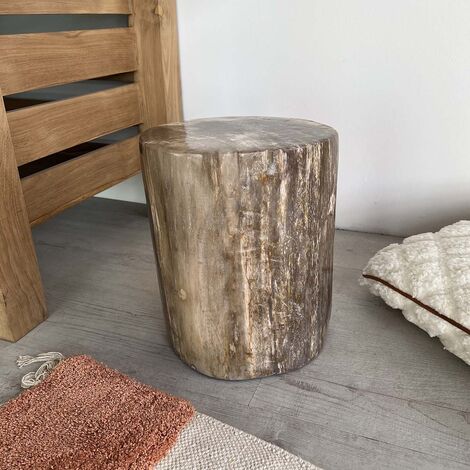 Puf Taburete de madera petrificada
