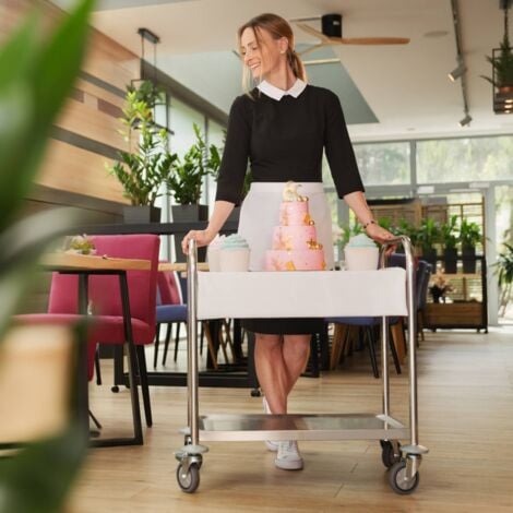 Chariot De Service Desserte Cuisine Table Roulante Inox 2 Plateaux 150 Kg